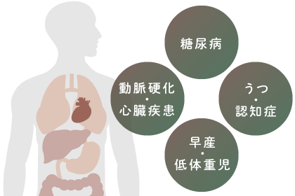 糖尿病、動脈硬化・心臓疾患、早産・低体重児、うつ・認知症